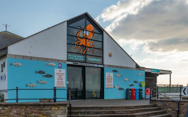 Lake District Coast Aquarium