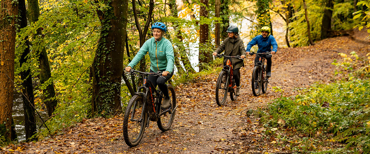 Arragon's Cycle Hire