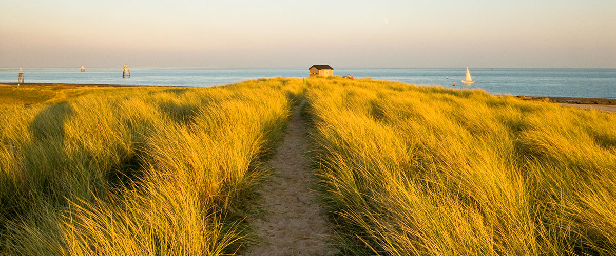 South Walney Nature Reserve