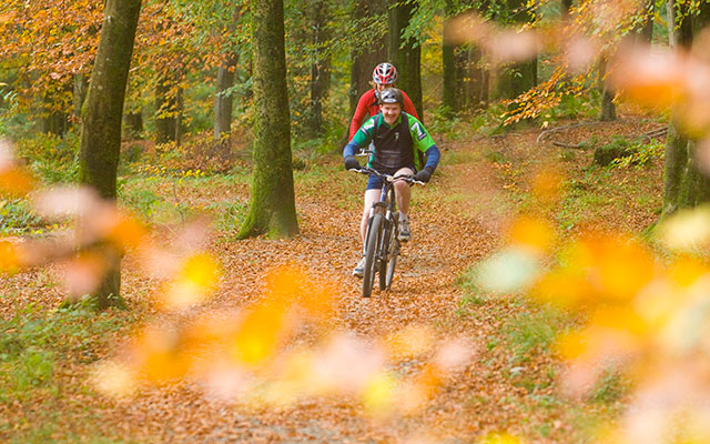 Autumn in the Lake District Forests (photo courtesy of Forestry England)