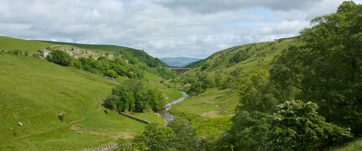 Smardale Gill Nature Reserve