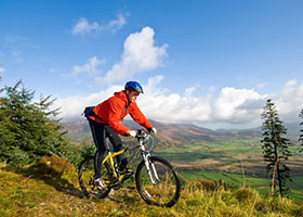 Cycling in Whinlatter Forest