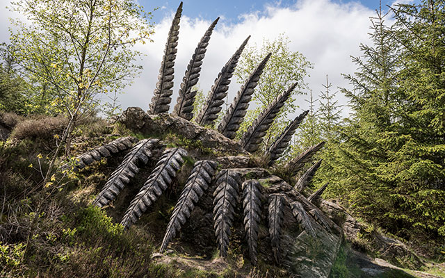 Some fern by Kerry Morrison at Grizedale Forest