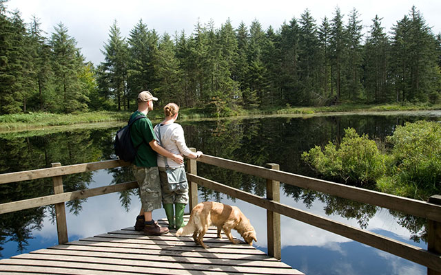 Great days out - Grizedale Forest