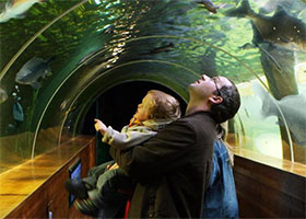 Lakes Aquarium