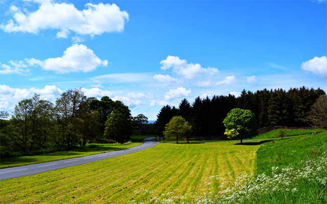 Melmerby Village Green