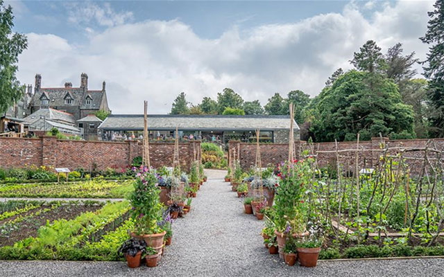 Lingholm Kitchen & Walled Garden