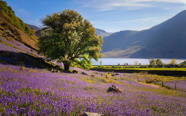 10 reasons to visit the Lake District, Cumbria this spring