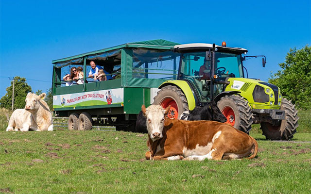11 things to do in Cumbria  this summer - Walby Farm Park