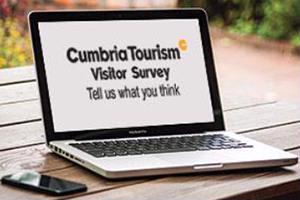 Visitor survey