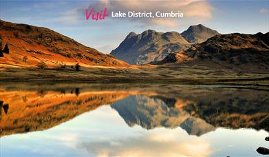 Thacka Beck Nature Reserve